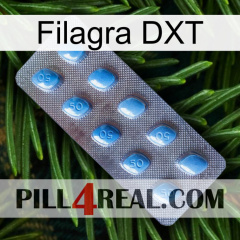 Filagra DXT viagra3